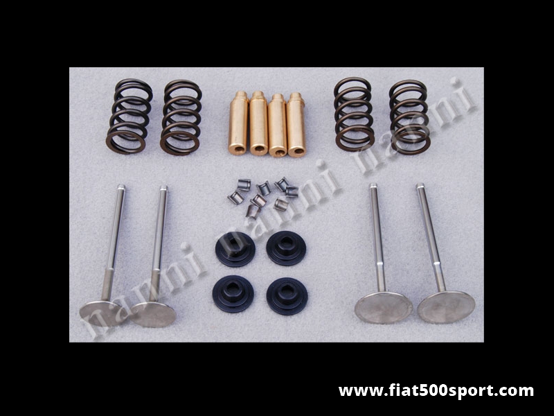 Art. 0362 - Kit Fiat 500 Fiat 126 Fiat Giardiniera Fiat Panda 30 NANNI con valvole  diam. 7 mm e guidavalvole  decentrate . - Kit Fiat 500 Fiat 126 Fiat Giardiniera Fiat Panda 30 completo NANNI per il montaggio valvole Ø 40 e Ø 33 stelo 7 mm. Comprende le 4 valvole, le molle ,le guidavalvole decentrate in bronzo Caro, i piattelli in titanio e i semiconi per le valvole diam 7 mm.
